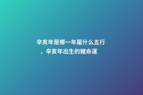 辛亥年是哪一年屬什么五行，辛亥年出生的豬命運